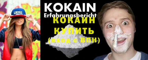 стафф Гусев
