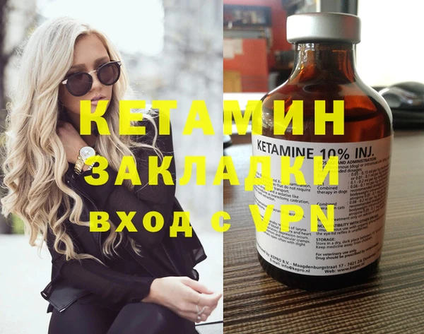 стафф Гусев