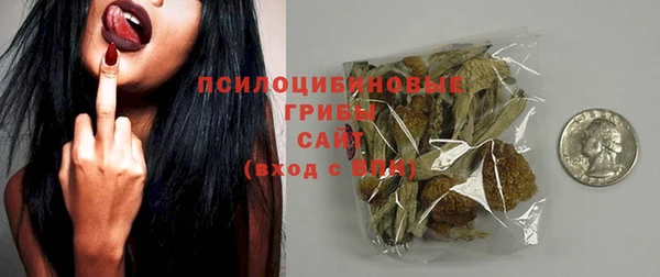 стафф Гусев