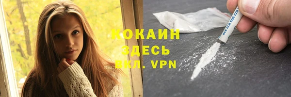 трава Гусиноозёрск