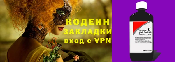 PSILOCYBIN Гусь-Хрустальный