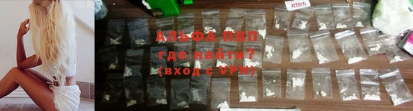 трава Гусиноозёрск