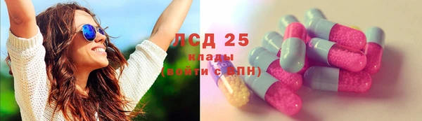 стафф Гусев