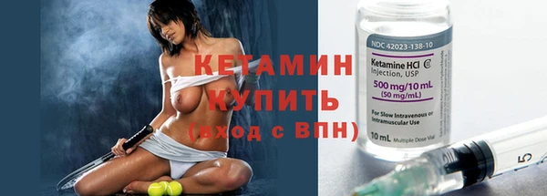 стафф Гусев
