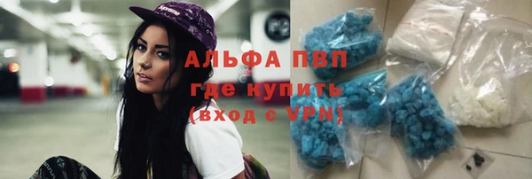 трава Гусиноозёрск