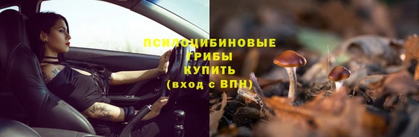 трава Гусиноозёрск