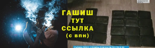 стафф Гусев