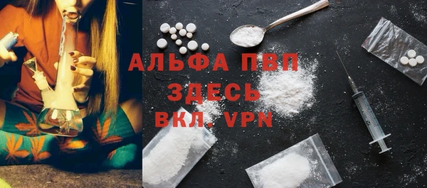 трава Гусиноозёрск