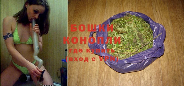 стафф Гусев