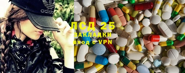 стафф Гусев