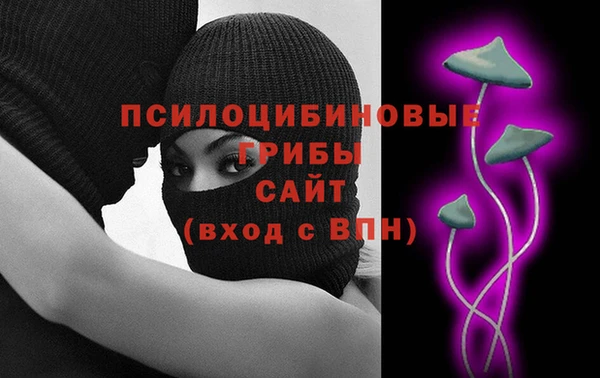 PSILOCYBIN Гусь-Хрустальный