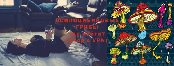 PSILOCYBIN Гусь-Хрустальный