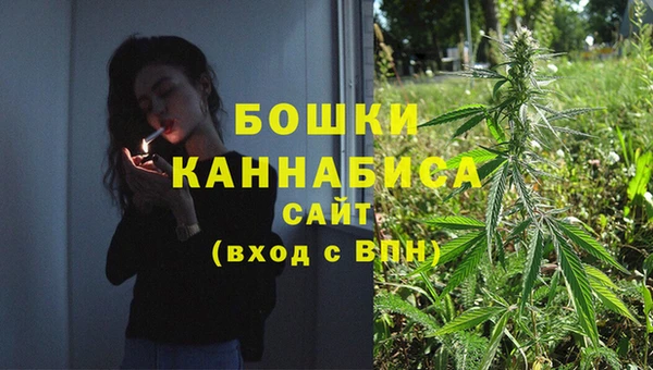 трава Гусиноозёрск