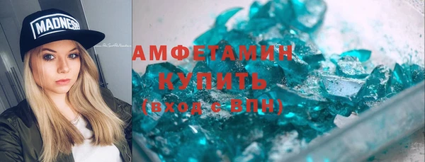 трава Гусиноозёрск