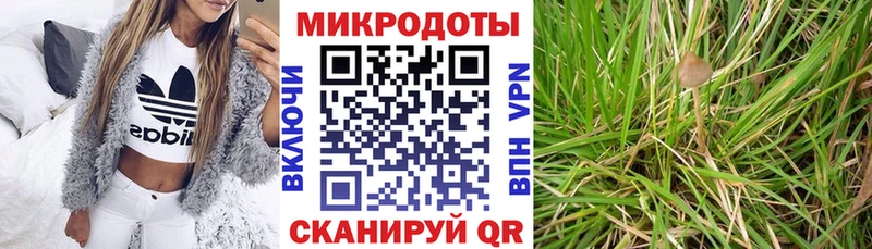 ОМГ ОМГ ТОР  наркотики  Тогучин  Псилоцибиновые грибы MAGIC MUSHROOMS 